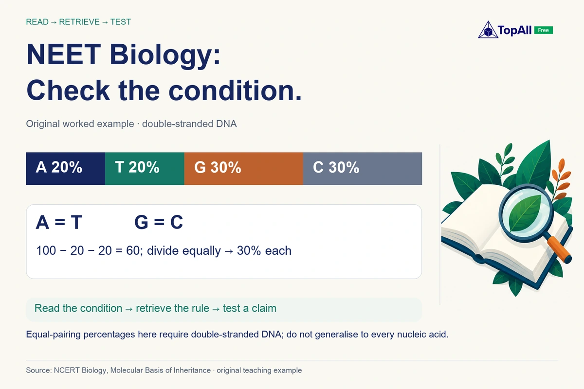 In the blog’s original double-stranded DNA example, adenine is 20%, thymine 20%, guanine 30% and cytosine 30%. Read the condition, retrieve the pairing rule, then test the statement. These are example base percentages, not NEET question shares.